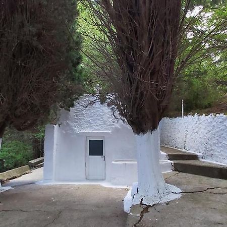 Traditional House In Asfendiou Agios Dimitrios  Экстерьер фото