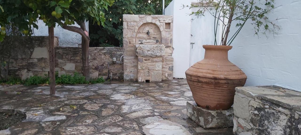 Traditional House In Asfendiou Agios Dimitrios  Экстерьер фото