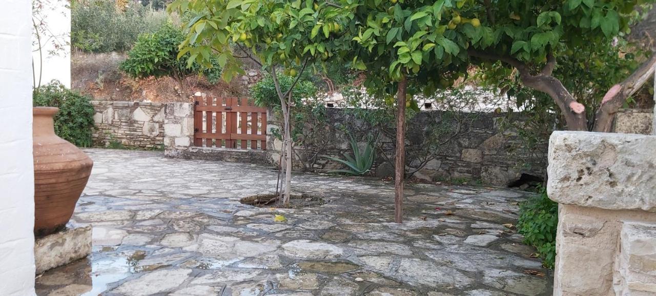 Traditional House In Asfendiou Agios Dimitrios  Экстерьер фото