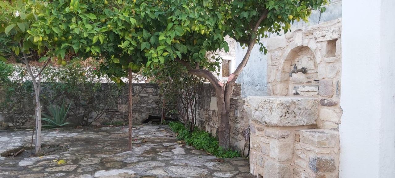Traditional House In Asfendiou Agios Dimitrios  Экстерьер фото
