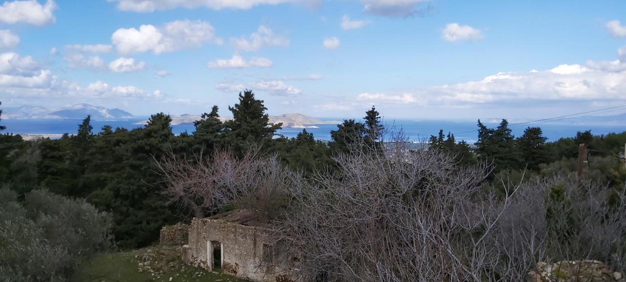 Traditional House In Asfendiou Agios Dimitrios  Экстерьер фото